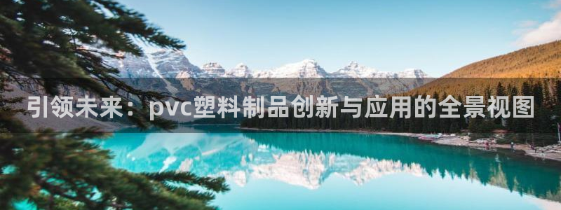 太阳app怎么下载：引领未来：pvc塑料制品创新与应用的全景