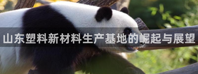 太阳游戏城：山东塑料新材料生产基地的崛起与展望