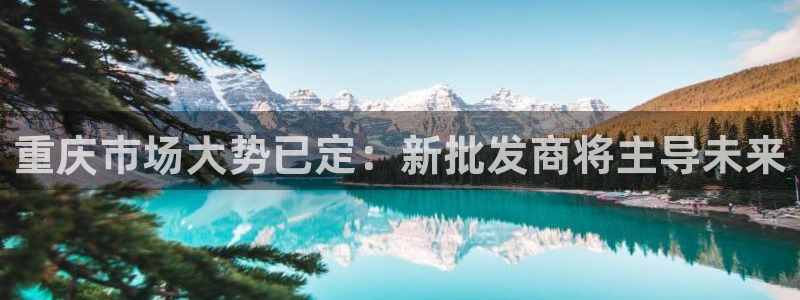 太阳集团入口官网首页：重庆市场大势已定：新批发商将主导未来