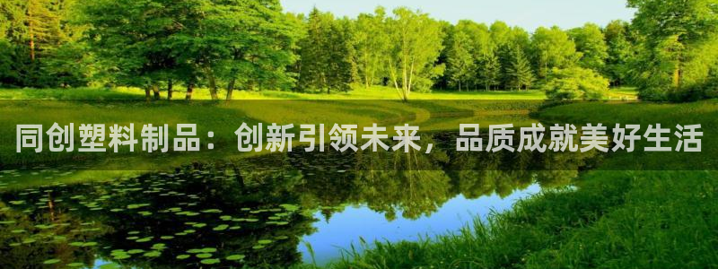 太阳诚集团有限公司有多少人：同创塑料制品：创新引领未来，品质