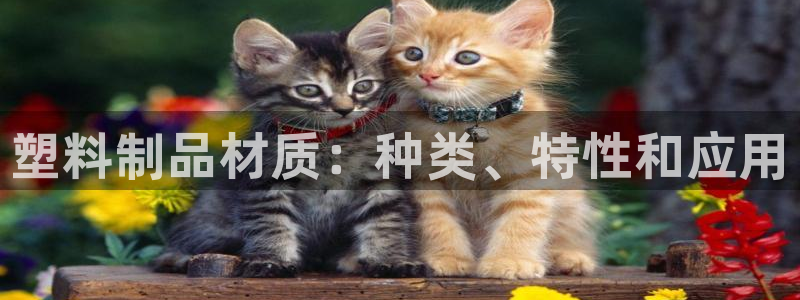 太阳集团怎么样：塑料制品材质：种类、特性和应用