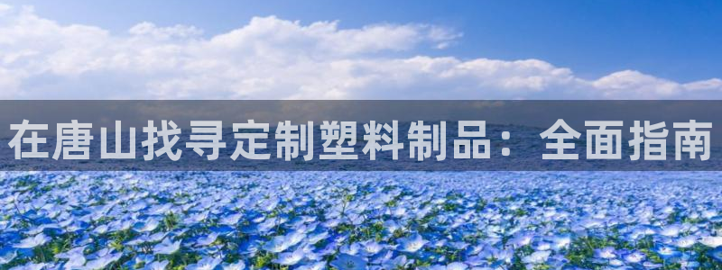 太阳集团电子游戏(中国)有限公司官网：在唐山找寻定制塑料制品