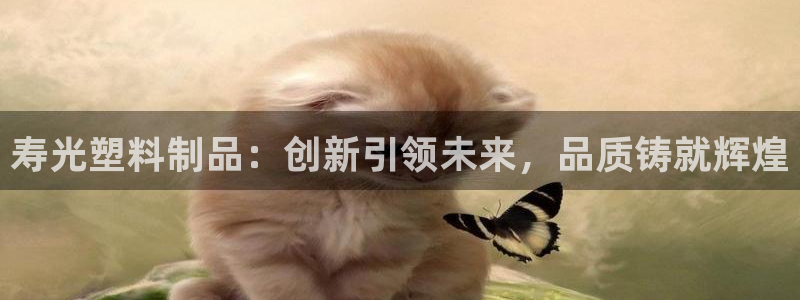 太阳集团的股价是多少：寿光塑料制品：创新引领未来，品质铸就辉