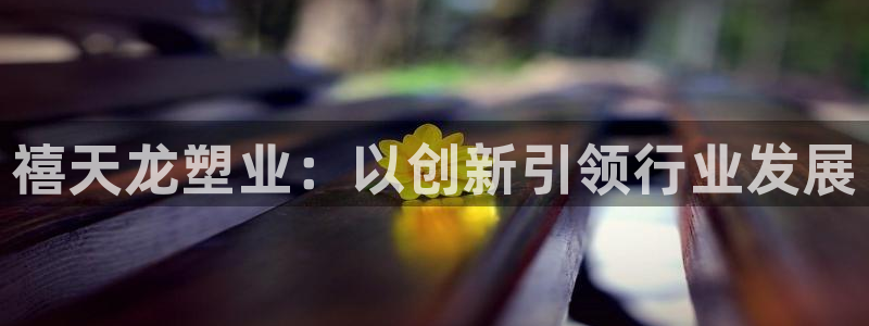 太阳游戏汉化：禧天龙塑业：以创新引领行业发展