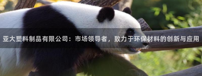 太阳集团网站游戏：亚大塑料制品有限公司：市场领导者，致力于环