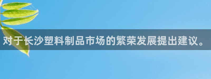 太阳集团游戏城：对于长沙塑料制品市场的繁荣发展提出建议。