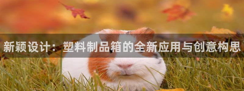 太阳成集团tyc3345：新颖设计：塑料制品箱的全新应用与创