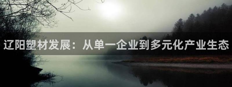 高淳红太阳集团：辽阳塑材发展：从单一企业到多元化产业生态