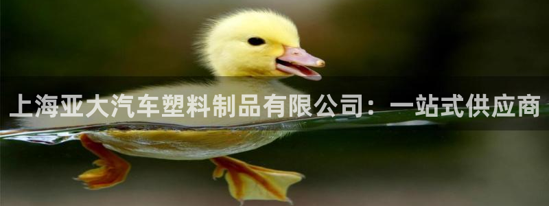 太阳2平台网址：上海亚大汽车塑料制品有限公司：一站式供应商