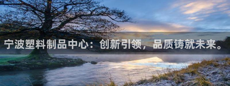 太阳集团是什么公司：宁波塑料制品中心：创新引领，品质铸就未来