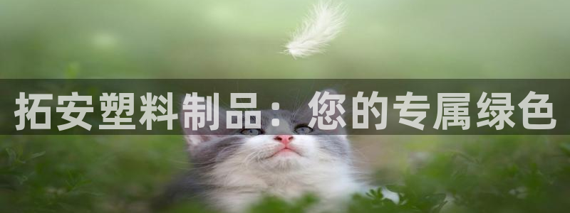 太阳成集团网站005：拓安塑料制品：您的专属绿色