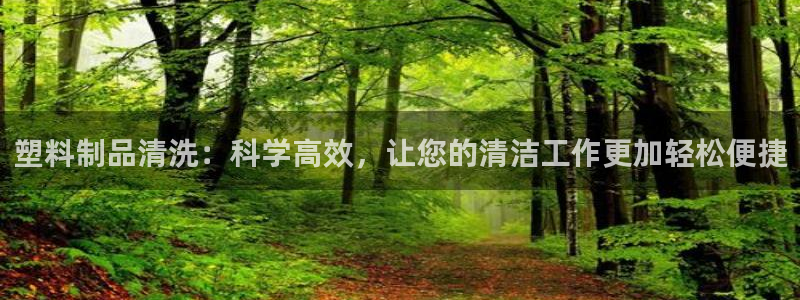 太阳阳城集团：塑料制品清洗：科学高效，让您的清洁工作更加轻松