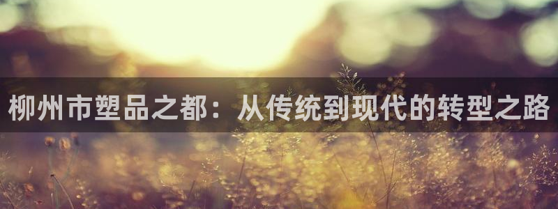 太阳gg注册平台页面：柳州市塑品之都：从传统到现代的转型之路