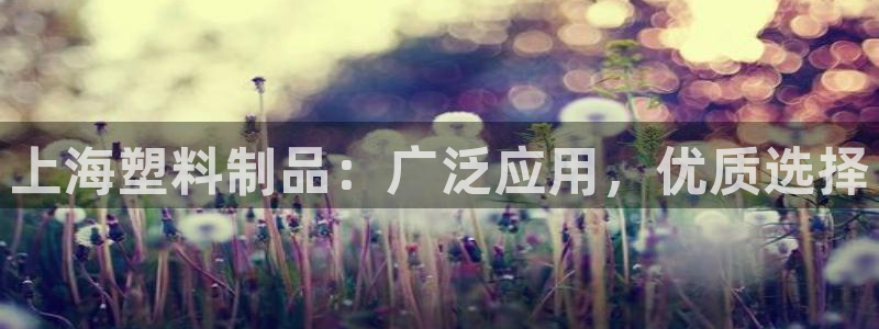 太阳成集团电子游戏：上海塑料制品：广泛应用，优质选择