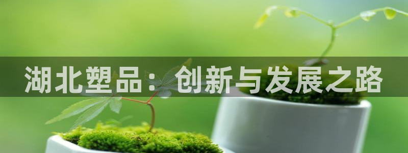 太阳集团网站5017：湖北塑品：创新与发展之路