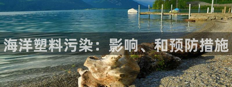 太阳成集团tyc7111cc下载手机版：海洋塑料污染：影响、