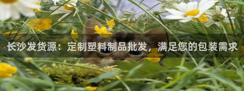 太阳集团网投：长沙发货源：定制塑料制品批发，满足您的包装需求