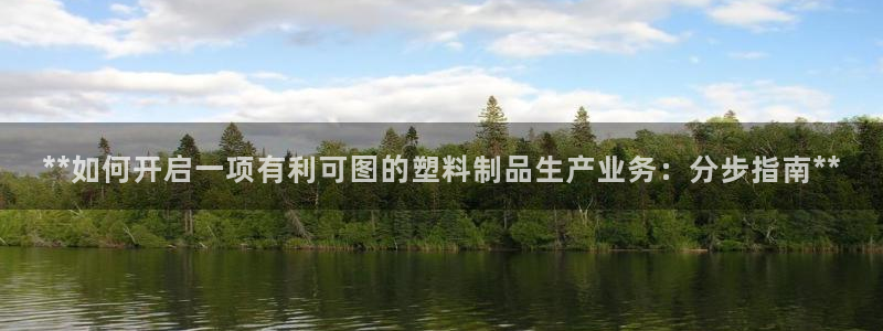太阳集团电子游戏官方网站：**如何开启一项有利可图的塑料制品
