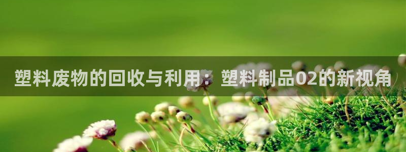 太阳集团电子游戏官方网站：塑料废物的回收与利用：塑料制品02