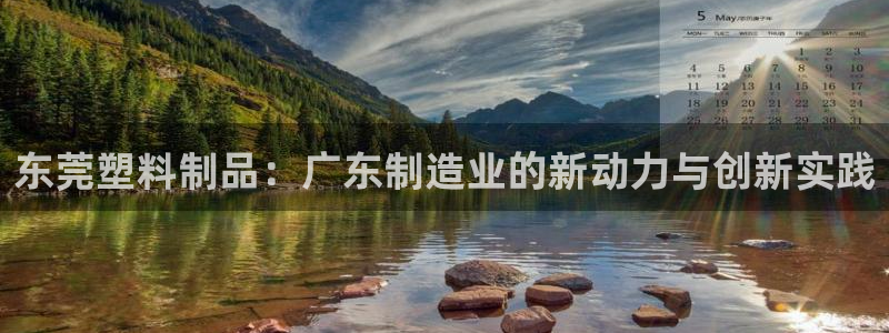 太阳成集团tyc122cc下载：东莞塑料制品：广东制造业的新