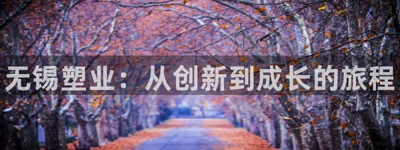 太阳集团城网站2：无锡塑业：从创新到成长的旅程