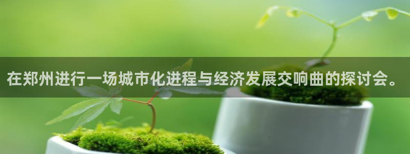 太阳gg平台登陆：在郑州进行一场城市化进程与经济发展交响曲的