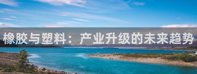 太阳成集团tyc9728：橡胶与塑料：产业升级的未来趋势