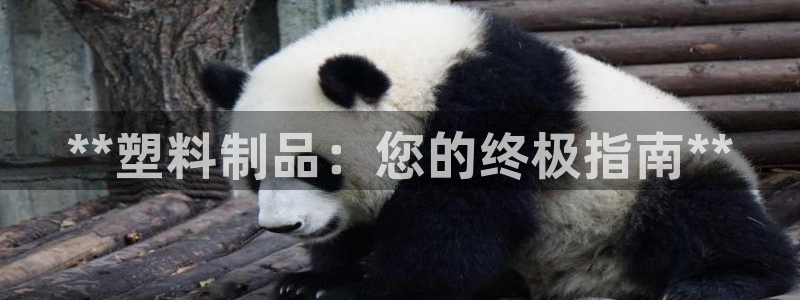 太阳集团网站入口官网下载：**塑料制品：您的终极指南**