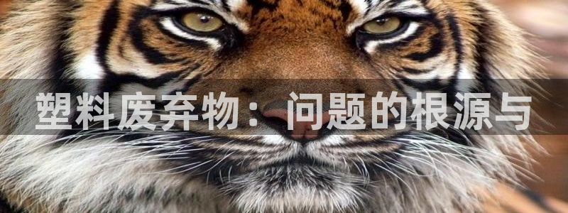 太阳成集团tyc9728：塑料废弃物：问题的根源与