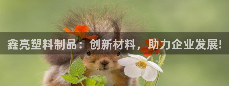 太阳集团古天乐代言：鑫亮塑料制品：创新材料，助力企业发展!