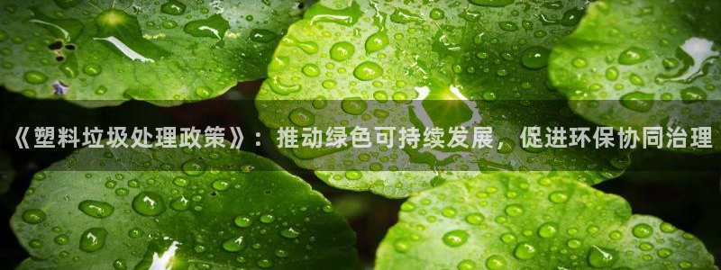 太阳gg平台登陆：《塑料垃圾处理政策》：推动绿色可持续发展，