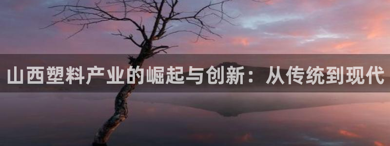 太阳集团电子游戏宙斯：山西塑料产业的崛起与创新：从传统到现代