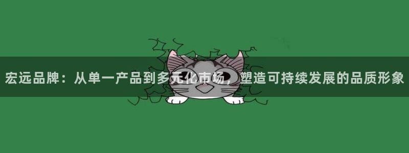 太阳集团网站官网：宏远品牌：从单一产品到多元化市场，塑造可持