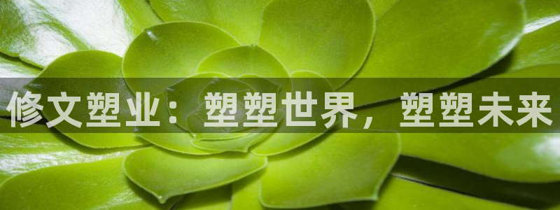 太阳1城集团网址查询：修文塑业：塑塑世界，塑塑未来
