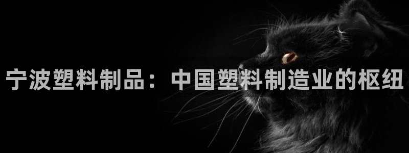 太阳集团官网：宁波塑料制品：中国塑料制造业的枢纽