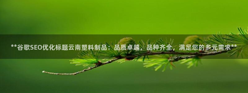 太阳集团电子游戏宙斯：**谷歌SEO优化标题云南塑料制品：品