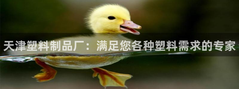 太阳诚集团：天津塑料制品厂：满足您各种塑料需求的专家