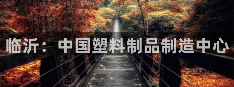 太阳gg注册/登录：临沂：中国塑料制品制造中心