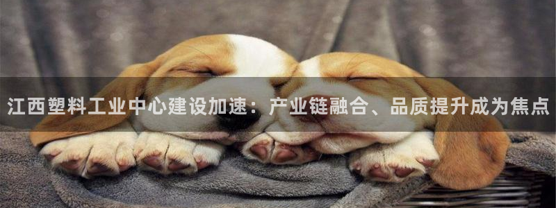 太阳集团娱乐官方网站：江西塑料工业中心建设加速：产业链融合、