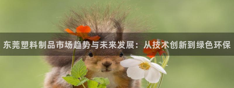 太阳神电子游戏平台：东莞塑料制品市场趋势与未来发展：从技术创